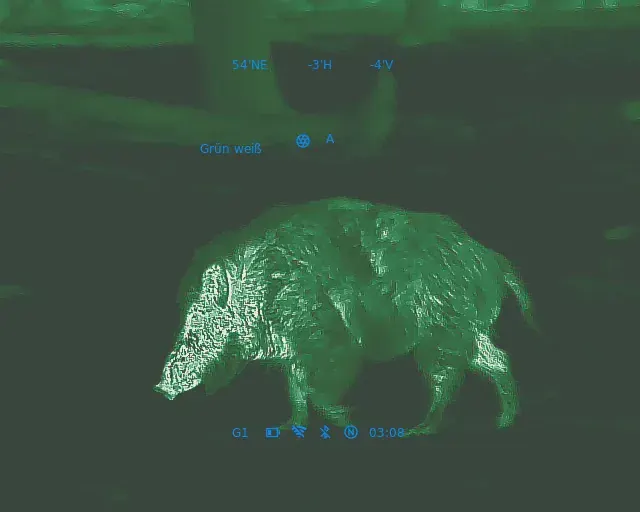 C50-Videoqualität: Schwarzwild an der Kirrung auf ca. 15m Entfernung / Diverse Modi