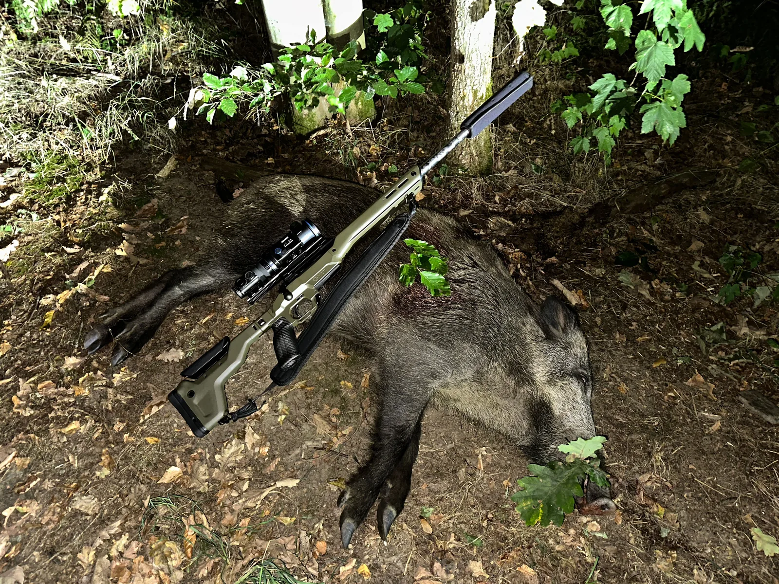 Efficient for Stalking: Heimdall AR3X with Zentron C50 as a Lightweight Stalking Combination